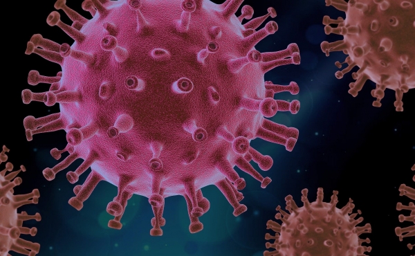 Virus close up