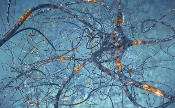 Blue neurones Transmitter cover image 2016