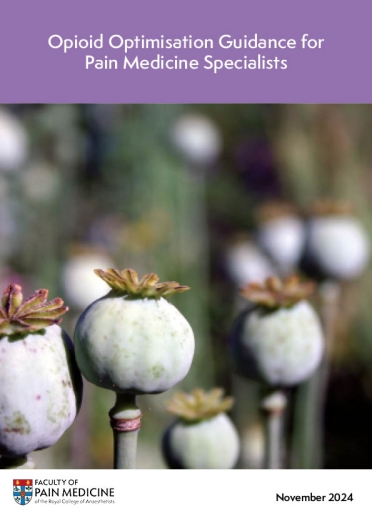 cover image of opioid optimisation guidance 2024